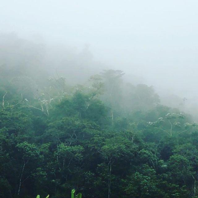 Sitio Recanto Da Preguica Santa Teresa  Buitenkant foto
